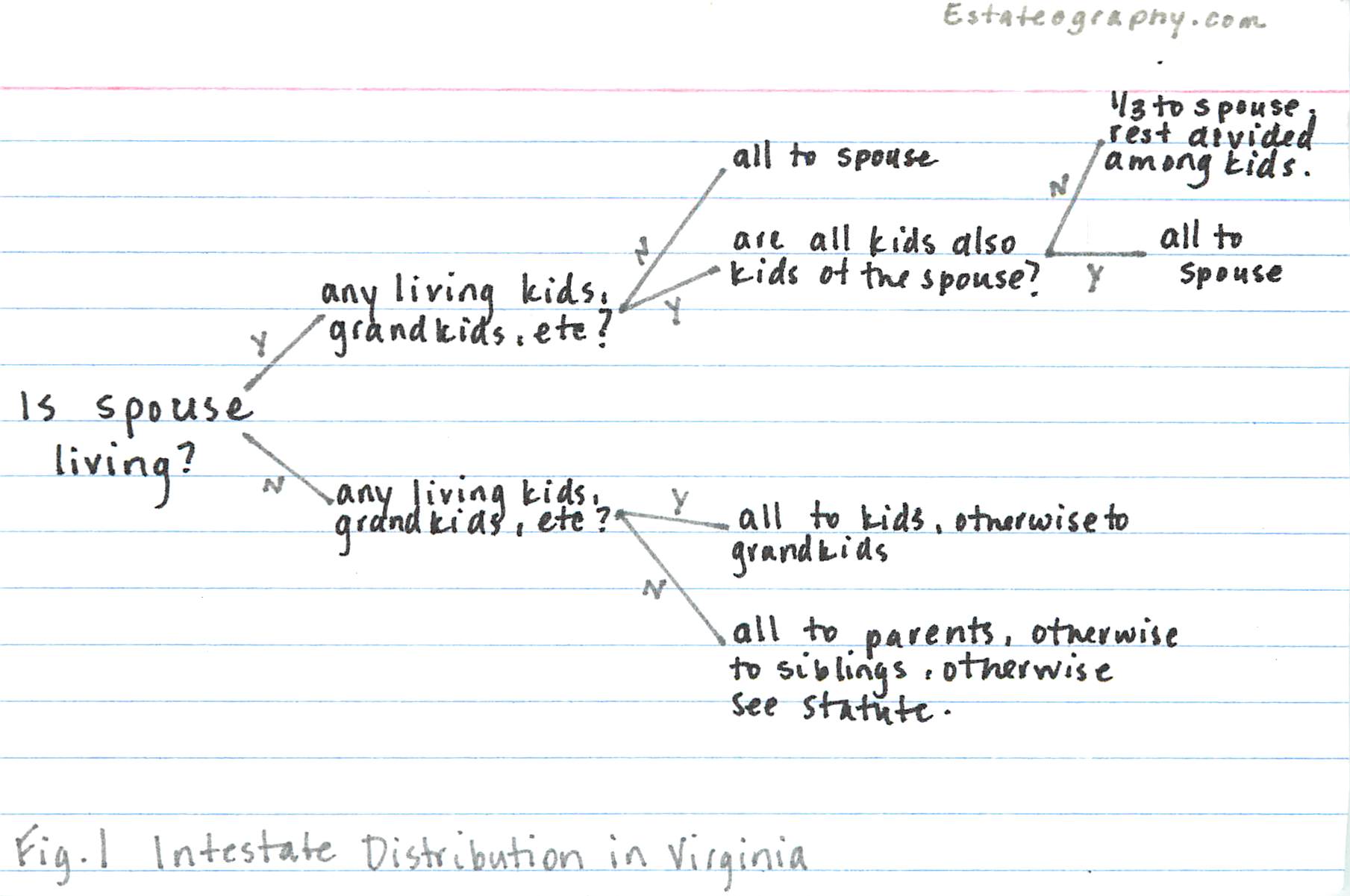 Virginia Intestate Property Distribution Chart